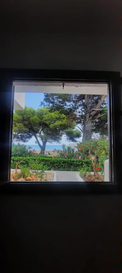 Apartamento Frente Al Mar Alcoceber Экстерьер фото